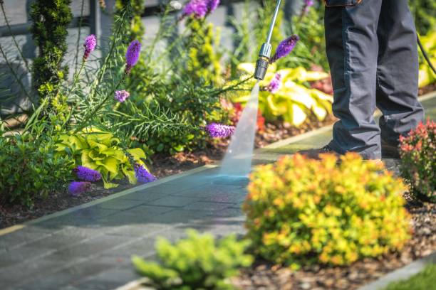 Best Animal Enclosure Cleaning  in Magnolia Springs, AL