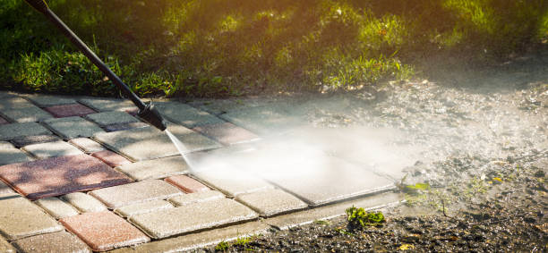 Best Graffiti Removal  in Magnolia Springs, AL