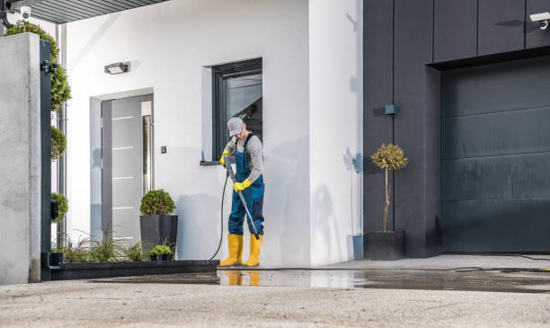 Best Gutter Cleaning  in Magnolia Springs, AL